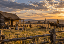 CAScity Member Spotlight: Santee and the Arizona Ghostriders